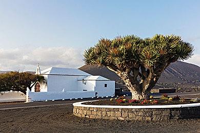 暴雪回应玩家请求 《炉石传说》未来将添加无障碍功能
