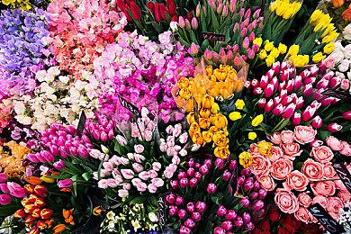 老派FPS再获新生 《毁灭战士》光线追踪MOD发布