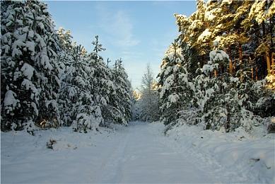 悬疑冒险《科纳风暴2》公布 明年登陆全平台