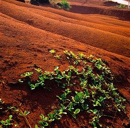 《卧龙：苍天陨落》1.08更新上线 已修复N卡无法启动问题
